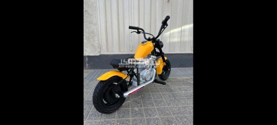 Moto Electric chick