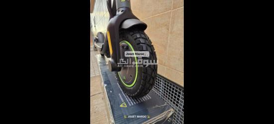 Trottinette EcoXtrem linear