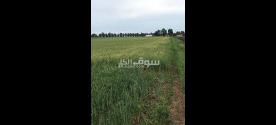 نواحي الداربيضاء دروة بدوار لعسارة - 2