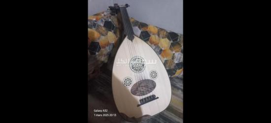 عود للبيع - 3
