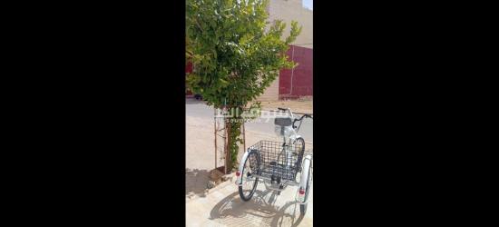درجات تلاثية العجلات