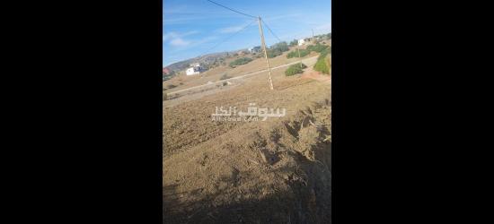 🌿🏡 **فرصة نادرة لامتلاك بقعة أرضية محفظة بالقرب من تطوان!** 🌟