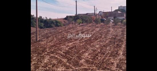 🌿🏡 **فرصة نادرة لامتلاك بقعة أرضية محفظة بالقرب من تطوان!** 🌟 - 2