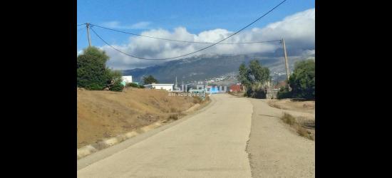 🌿🏡 **فرصة نادرة لامتلاك بقعة أرضية محفظة بالقرب من تطوان!** 🌟 - 3