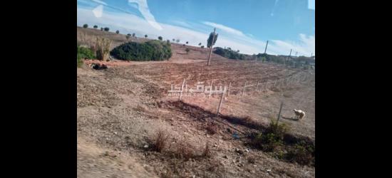 🌿🏡 **فرصة نادرة لامتلاك بقعة أرضية محفظة بالقرب من تطوان!** 🌟 - 4
