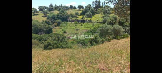 💥فرصة عقارية نادرة في نواحي تطوان! 🔥