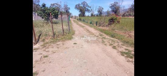 منزل الأحلام بين تطوان وطنجة… الفرصة التي لا تتكرر - 4