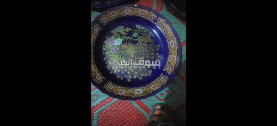 تبسيط طاوس الحار للبيع - 6