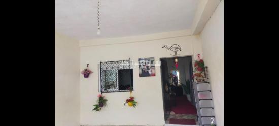 تكسمسددسدس - 3