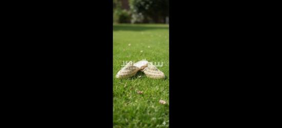 أحذية رافيا