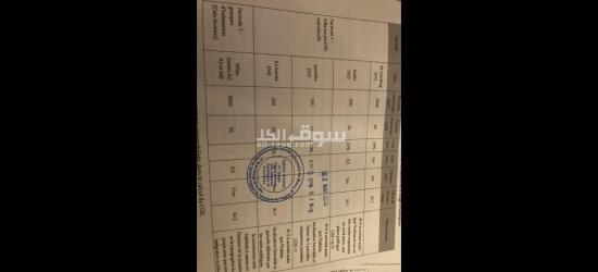 أرض للبيع في طنجة – أشقار – موقع استراتيجي وإطلالة على البحر – مساحة 4 هكتارات - 2