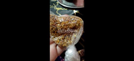 التقة والمسداقية - 2