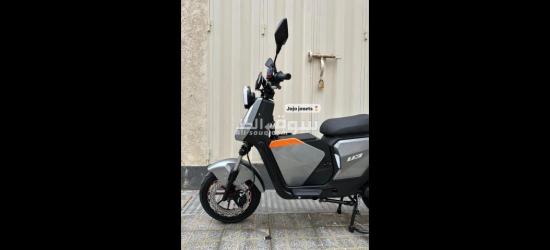 motor electricite - 4