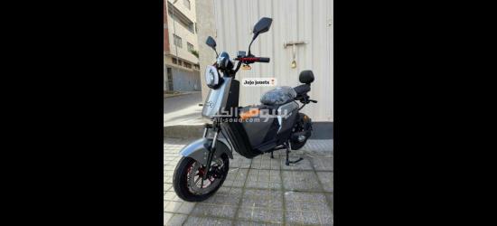 motor electricite - 15