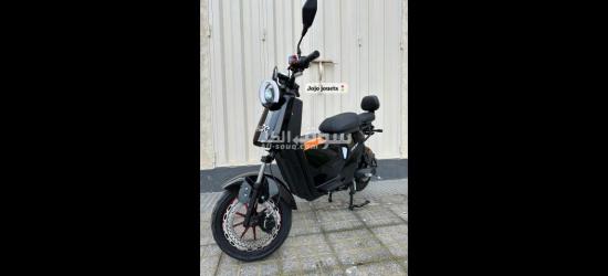 motor electricite - 16