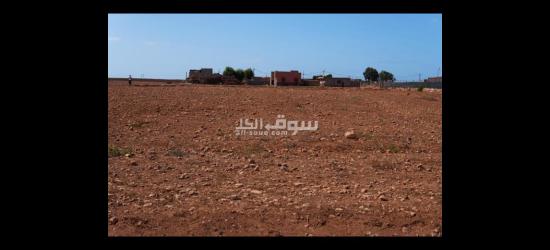 أرض فلاحية محفظة للبيع صالحة لإنشاء مصانع و مشاريع صناعية - 2