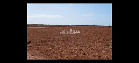 أرض فلاحية محفظة للبيع صالحة لإنشاء مصانع و مشاريع صناعية - 8