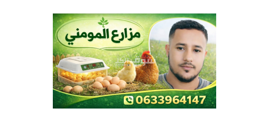 بيع فقاسات أتوماتيكية والبيض مخصب والكتاكيت في مختلف الأعمار