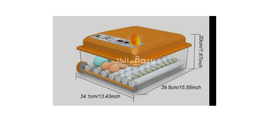 فقاسة بيض حجم 36